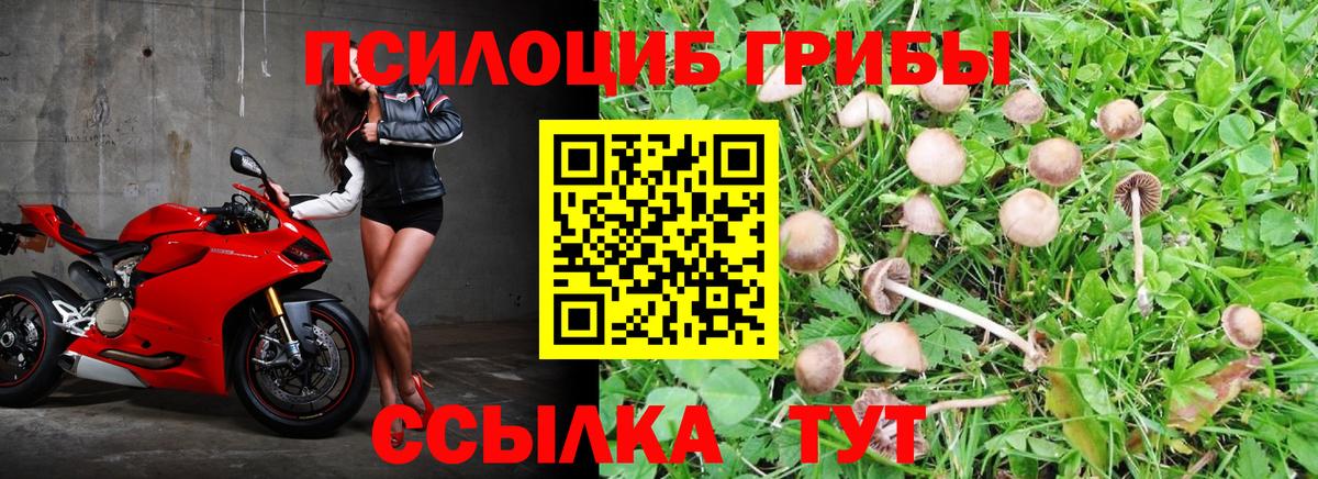 Псилоцибиновые грибы MAGIC MUSHROOMS  Вход с VPN  закладки  Салават 