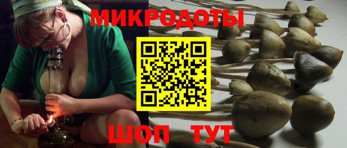 Псилоцибиновые грибы GOLDEN TEACHER Салават
